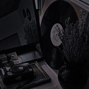 Meet your Posher, Savannah